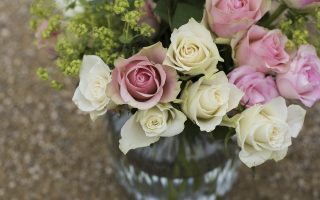 Pourquoi les roses éternelles sont-elles de meilleurs cadeaux ?