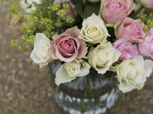 Pourquoi les roses éternelles sont-elles de meilleurs cadeaux ?