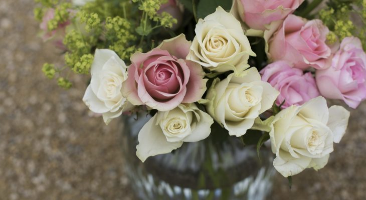 Pourquoi les roses éternelles sont-elles de meilleurs cadeaux ?